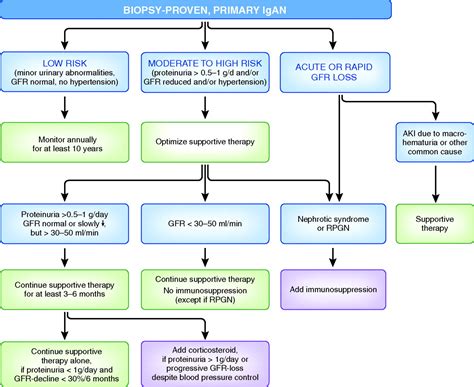 iga nephropathy treatment guidelines